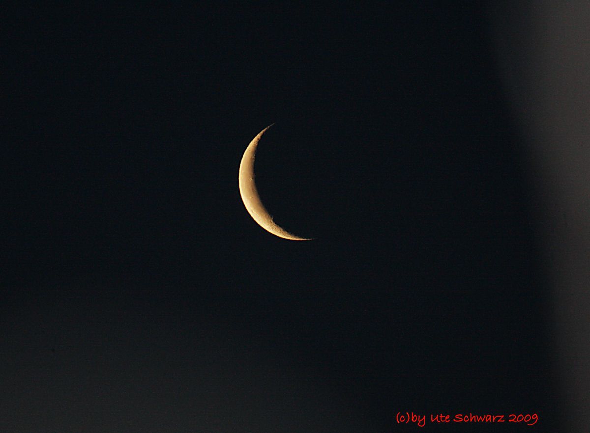 Klicken zum Vergrößern!