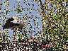 IMG_1982_1.jpg