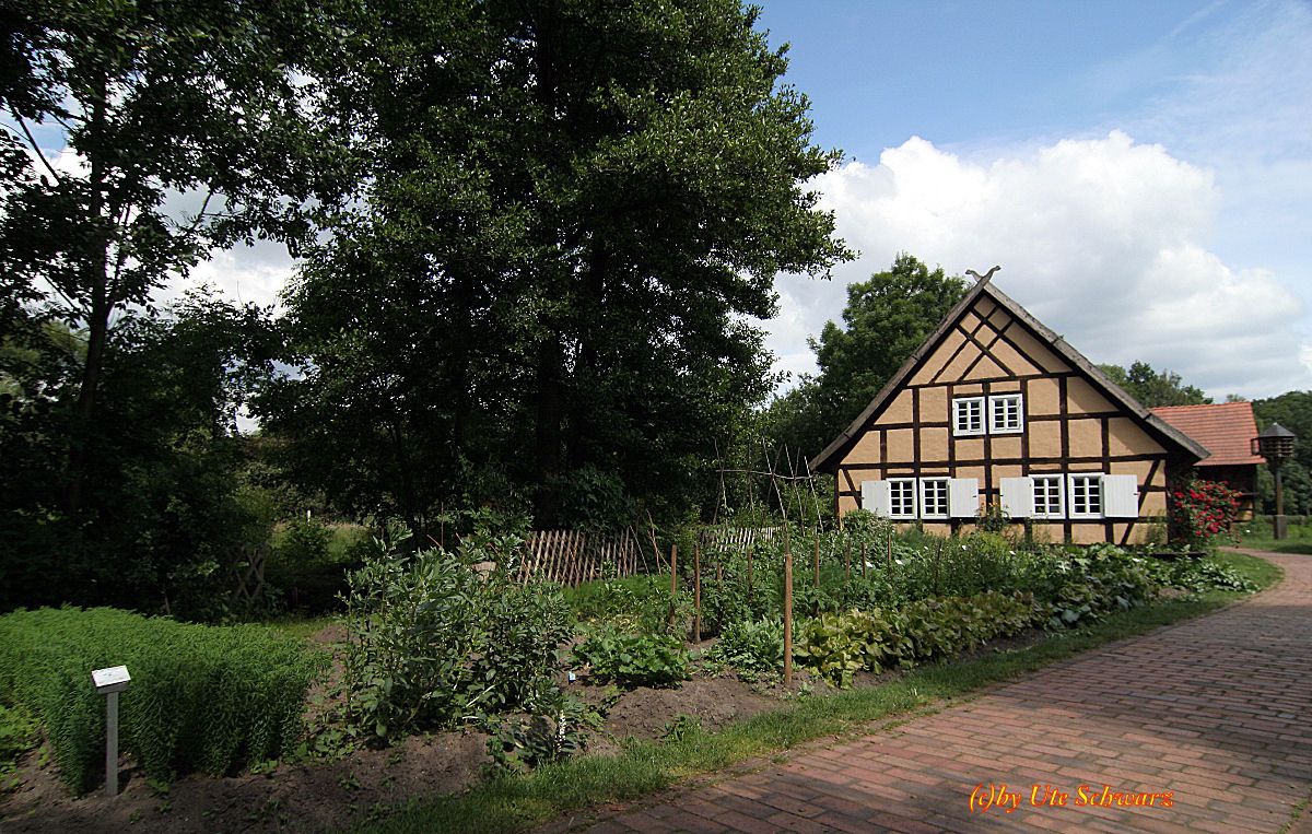 Klicken zum Vergr&ouml;&szlig;ern!