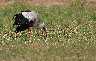 2009_06_16_0117_1.jpg
