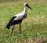 2009_06_16_0256_1.jpg