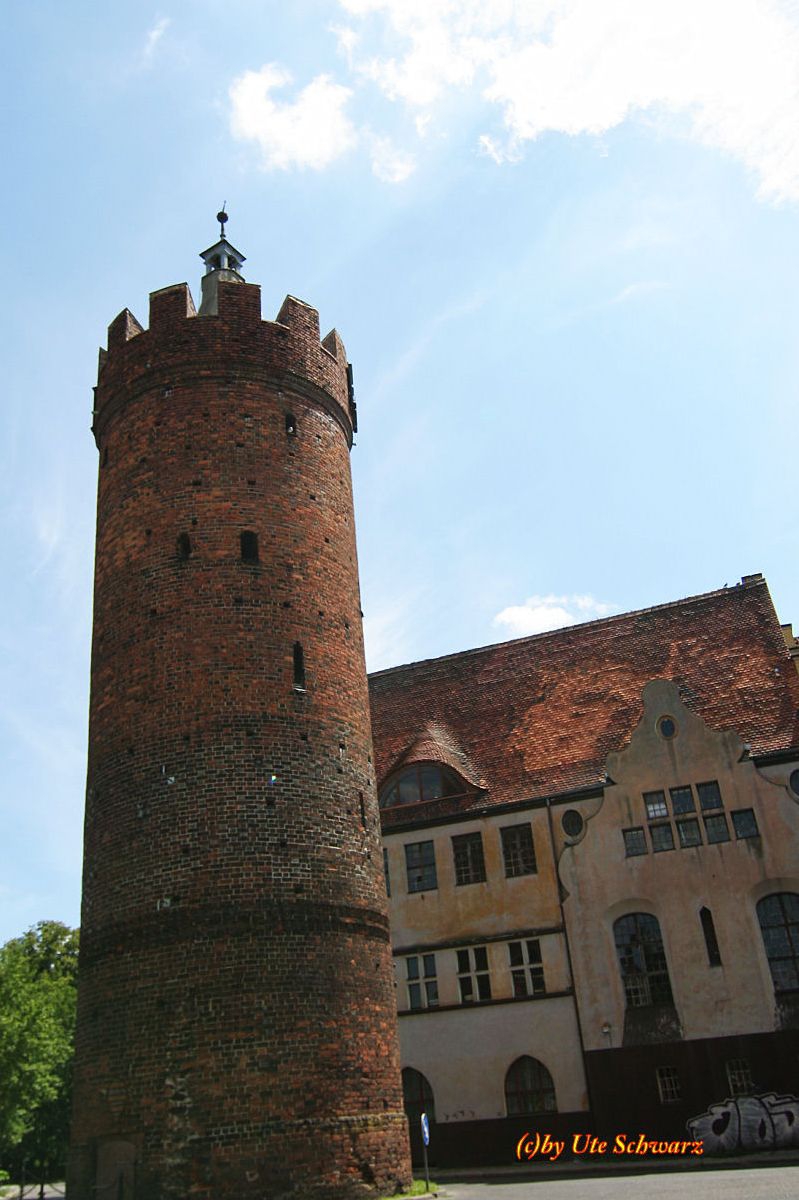 Klicken zum Vergr&ouml;&szlig;ern!