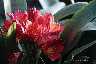 7795-IMG_0066.jpg