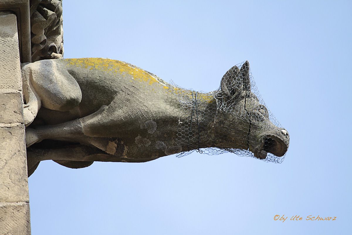 Klicken zum Vergr&ouml;&szlig;ern!