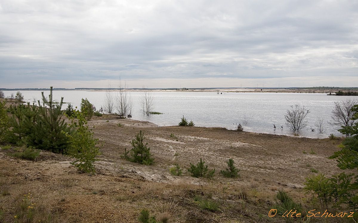 Klicken zum Vergr&ouml;&szlig;ern!