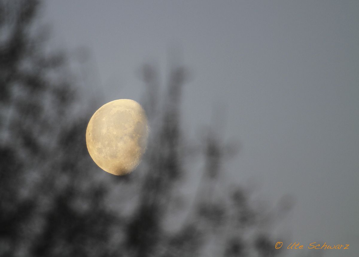 Klicken zum Vergr&ouml;&szlig;ern!