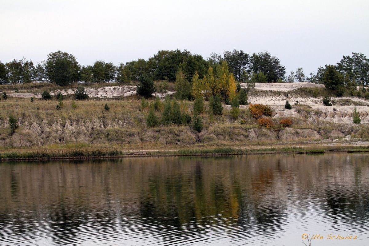 Klicken zum Vergr&ouml;&szlig;ern!
