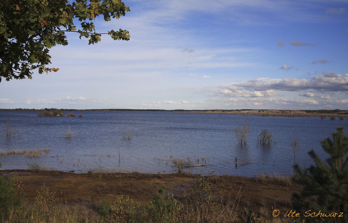 Klicken zum Vergr&ouml;&szlig;ern!