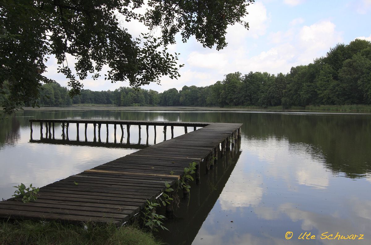 Klicken zum Vergr&ouml;&szlig;ern!