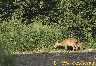 8254-IMG_0257.jpg