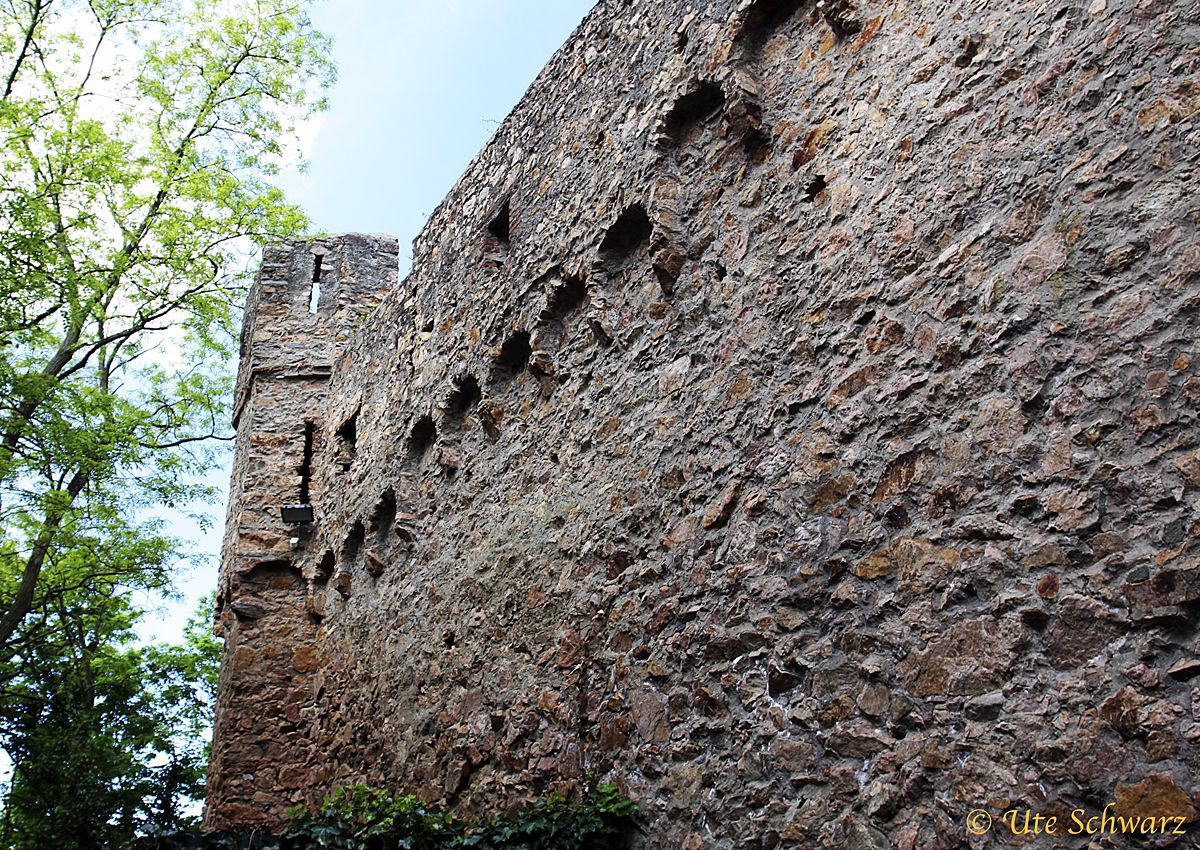 Klicken zum Vergr&ouml;&szlig;ern!