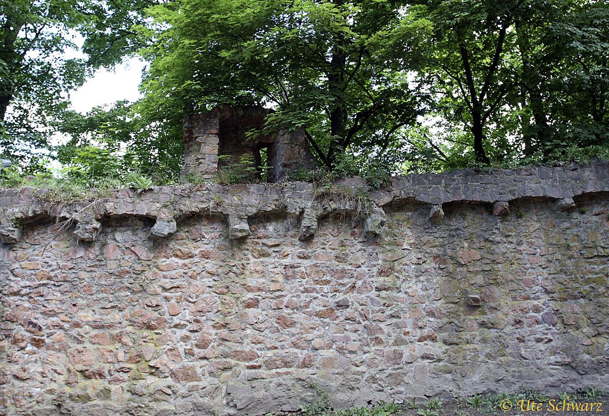 Klicken zum Vergr&ouml;&szlig;ern!