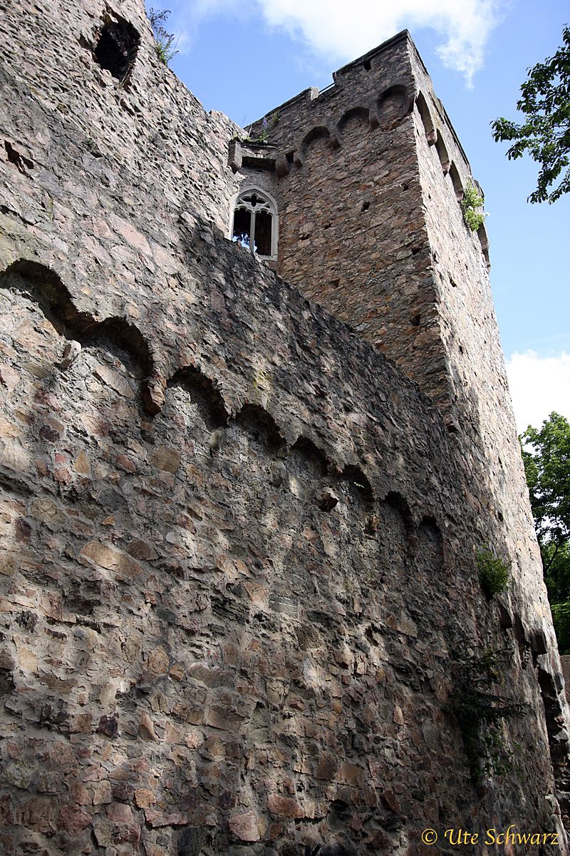 Klicken zum Vergr&ouml;&szlig;ern!