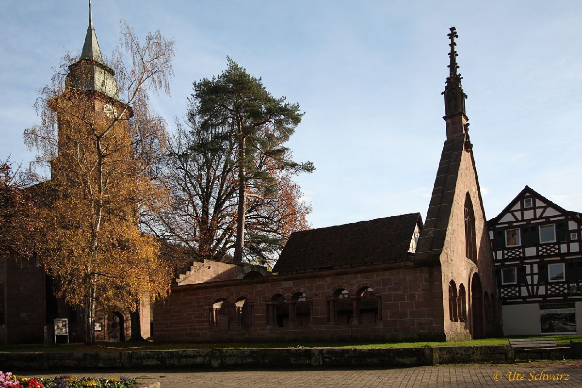 Klicken zum Vergr&ouml;&szlig;ern!