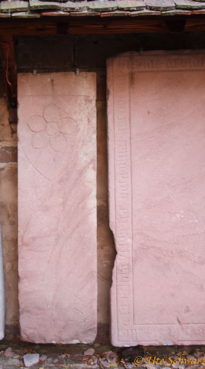 Klicken zum Vergr&ouml;&szlig;ern!