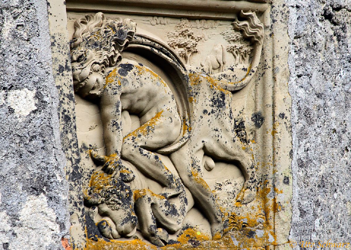 Klicken zum Vergr&ouml;&szlig;ern!