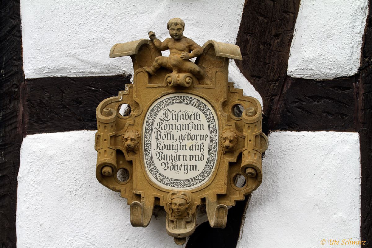 Klicken zum Vergr&ouml;&szlig;ern!