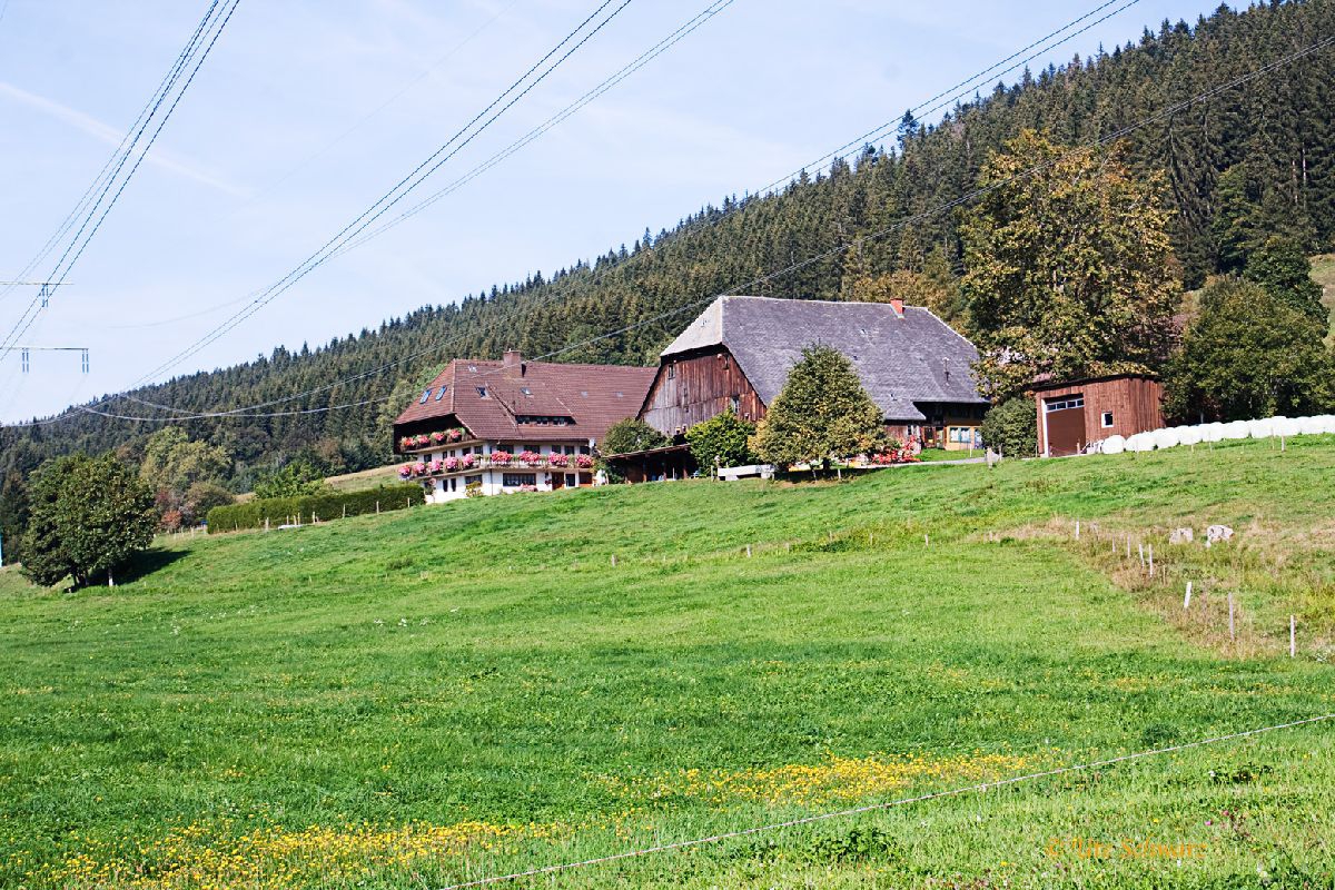 Klicken zum Vergrößern!