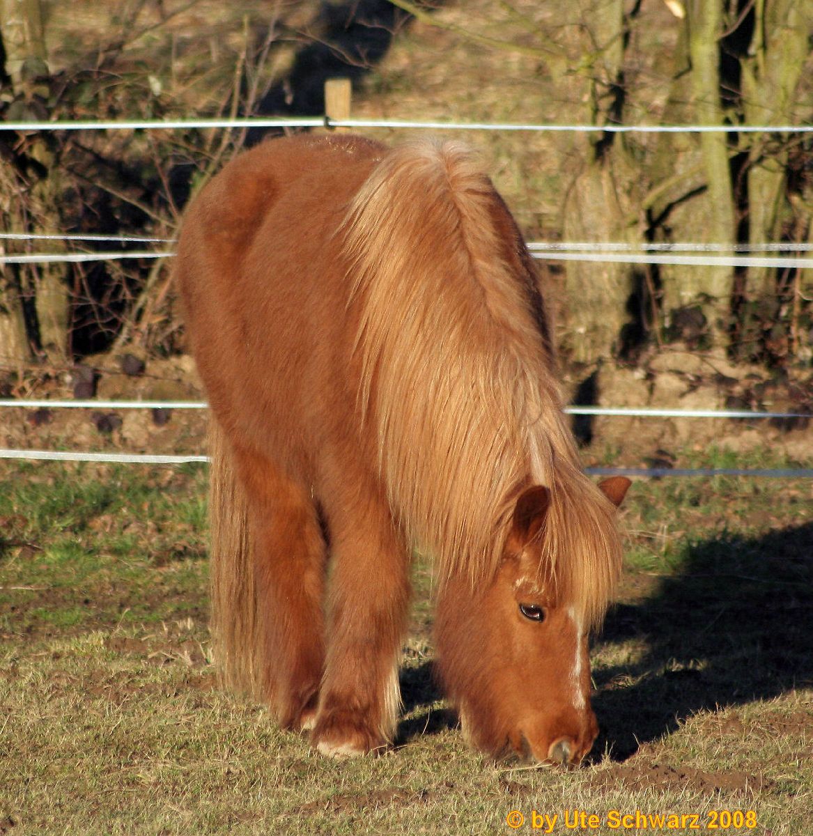 Klicken zum Vergr&ouml;&szlig;ern!